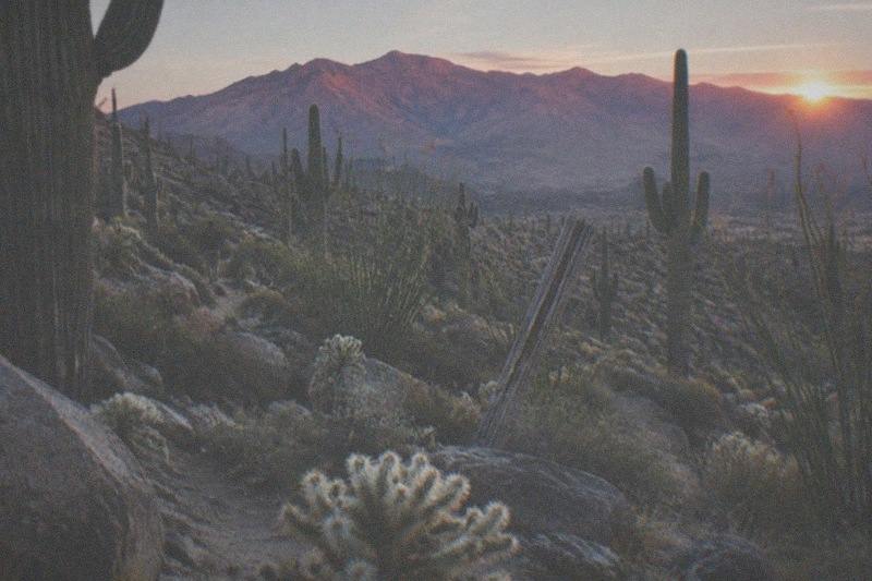 Saguaro NP Stop, Meal Included