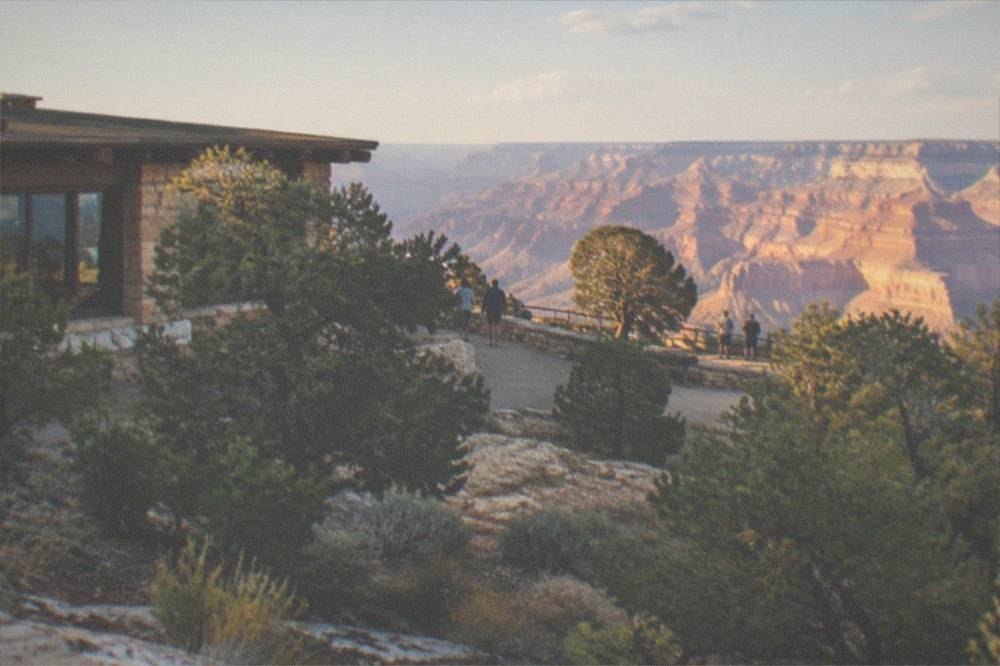 Canyon walls glowing in late afternoon light from a South Rim overlook