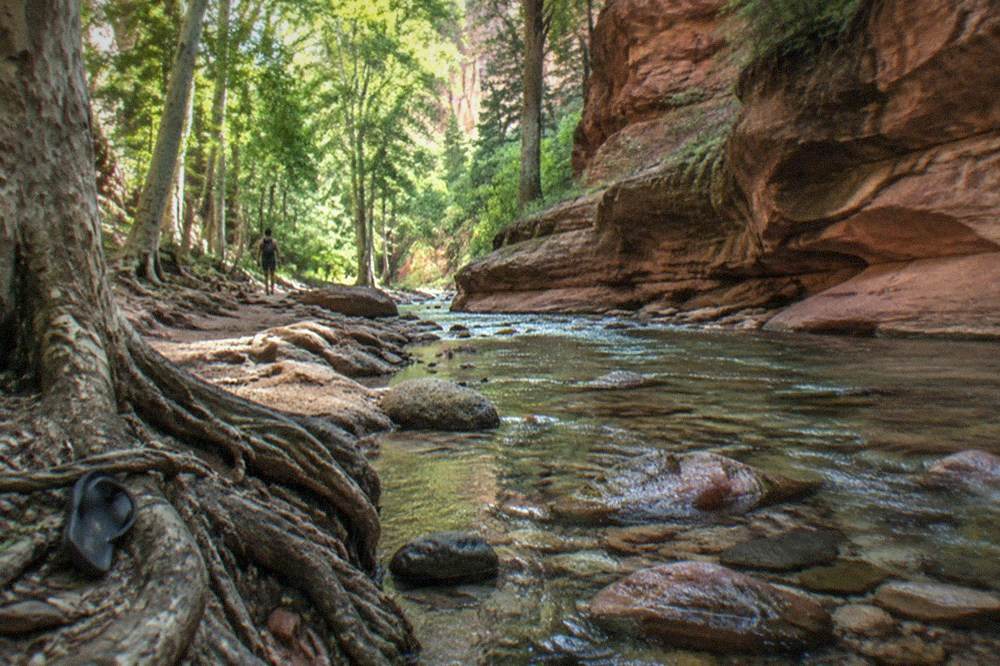 Oak Creek flowing between red rock walls lined with trees near Sedona