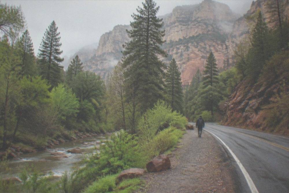 Sandstone cliffs and green trees along a creek corridor in red rock country