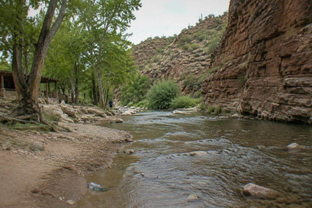 Red rock cliffs above a tree-lined creek in a canyon at midday