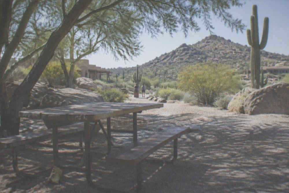 A family-sized picnic table under shade trees beside a desert highway pullout