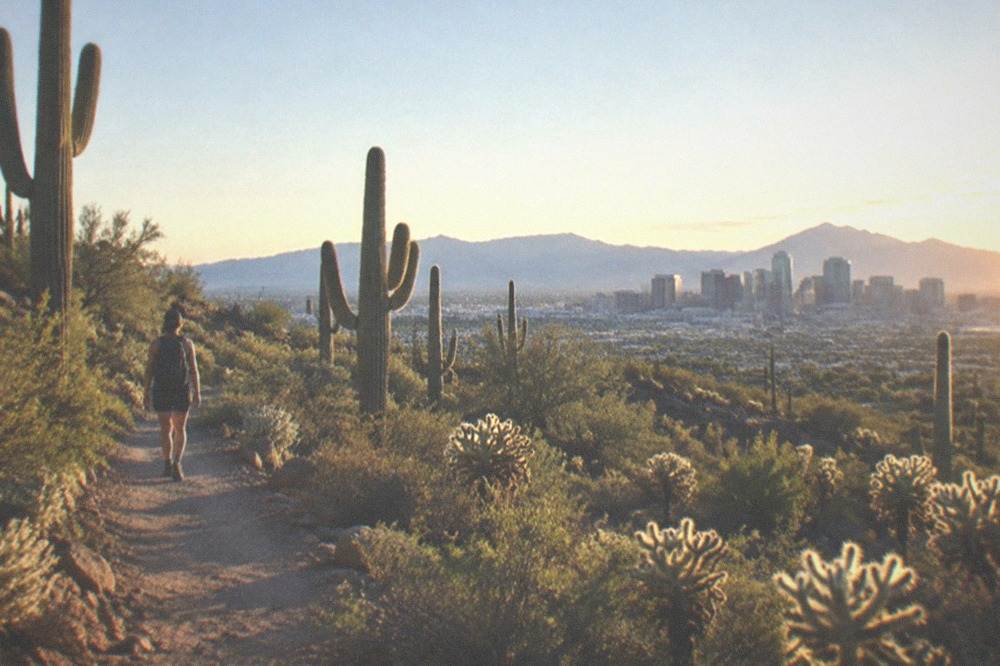 An open desert trail winding between tall saguaro cactuses toward distant mountains