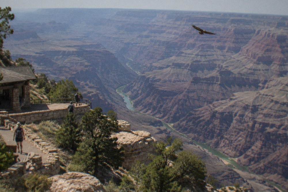 Aerial view of the Colorado River winding through the inner Grand Canyon