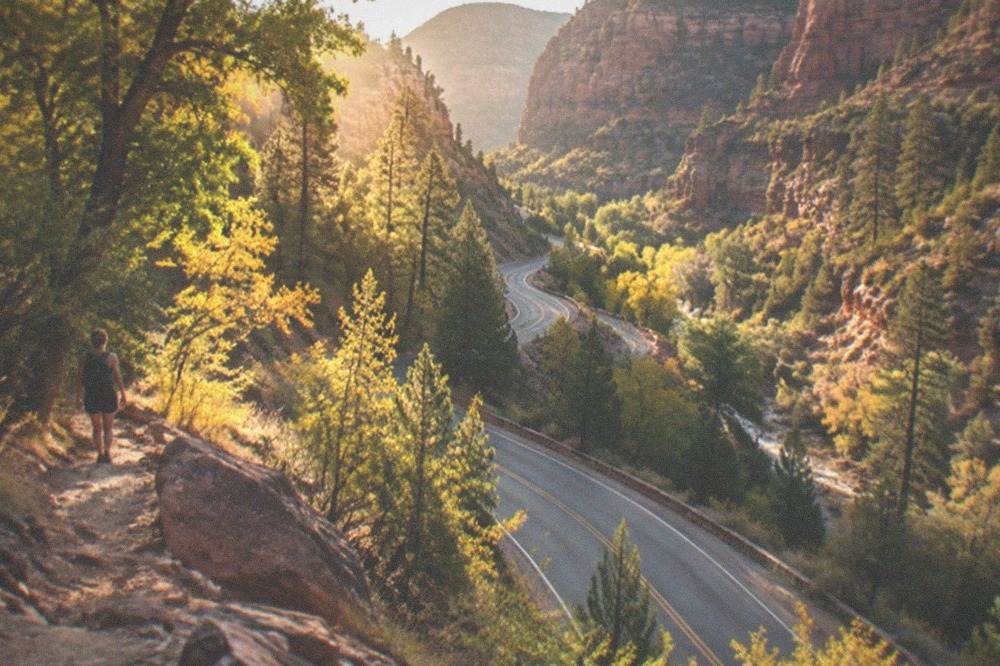 Oak Creek Canyon forested switchbacks descending toward red rock cliffs in warm afternoon light