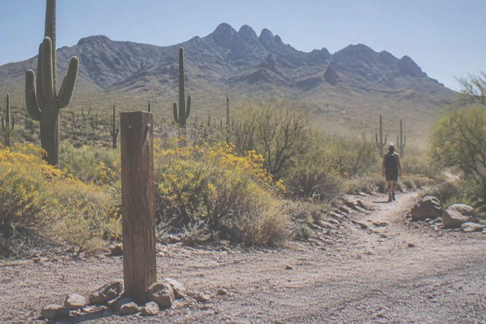Dusty trailhead sign beside desert scrub under a bright midday sun