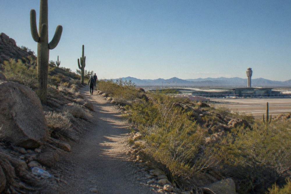 A desert trail winding between saguaro cactus and rocky hills under a clear blue sky